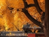 香山电影院 1-318章[未完结]
